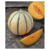 MELONE CANTALUPO DI CHARENTAIS GR.100
